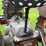 farmall-f12-image-41