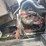 2012-crane-carrier-low-entry-t/a-rear-loader-garbage-truck-image-8