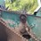 new-idea-324-image-41