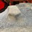 1985-massey-ferguson-860-image-67