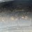 2017-link-175-image-9