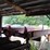 #133-•-mellott-log-deck-image-14