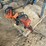 #5508-•-(2)-chain-saws-image-6