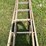 #5503-•-wooden-extension-ladder-image-6