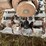 #5522-•-gilson-brothers-co.-rototiller-image-7