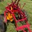 mm-3-14”-plow-image-3