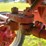 1944-farmall-hv-image-20