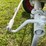 farmall-cub-demonstrator-image-20