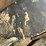 #171-•-circle-saw-blades-image-12
