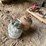 #5509-•-(2)-20-lb-propane-tanks-image-5