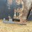 #188-•-stout-skid-steer-mount-84"-snow-bucket-image-13
