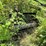 #5487-•-farm-king-grain-auger-elevator-image-15