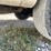 2006-chevrolet-express-2500-cargo-van-image-23