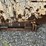 #165-•-self-dumping-hopper-image-5