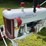 farmall-cub-demonstrator-image-14