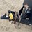 #160-•-2022-no-ramp-20'-scissors-lift-trailer-(has-wi-title)-image-8