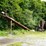 #155-•-montgomery-hog-entirety-of-lots-150---154-image-1