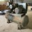 #138-•-ingersol-rand-air-compressor-image-17