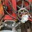 #100-•-frickco-0-rh-mill-image-23