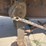 2000-utility-97-1/2-inch-x-48ft-spread-axle-flatbed-semi-trailer-image-29