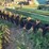 john-deere-h1000-image-9
