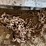 #5523-•-tractor-tire-chain-image-3