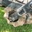 #5551-•-john-deere-p7000-planter-seeder-image-22