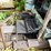 #152-•-cornell-barn-sweep-image-21