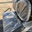 unused-newrick-new-g4.0-image-15