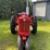 farmall-super-h-distillate-image-8
