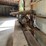 #143-•-dewalt-sliding-arm-saw-image-4