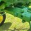 1964-john-deere-3020-image-21