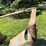 #5552-•-melroe-(5)-bottom-plow-image-22