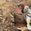 #5559-•-miscellaneous-cylinders,-hoses,-planter-parts,-and-more-image-3