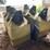 #5513-•-(6)-corn-or-grain-boxes-image-1