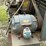 #157-•-ingersoll-rand-air-compressor-image-8