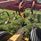 krause-mod.-3121-landsman,-21’-image-8