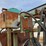 #255-•-frickco-husk-image-11