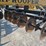 landoll-2205-image-10