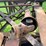 #5478-•-new-idea-pto-driven-buzz-saw-image-26