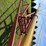 mayrath-10”-x-60ft-auger-image-18