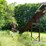 #152-•-cornell-barn-sweep-image-5