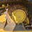 caterpillar-299d3-image-35