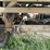 2016-great-dane-53ft-image-14