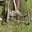 #5505-•-john-deere-61'-metal-bale-elevator-image-7