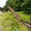 #152-•-cornell-barn-sweep-image-1