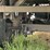2015-great-dane-53ft-image-14