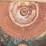 #137-•-diehl-750-straight-line-rip-saw-image-12