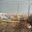 8,000-bushel-dryer-grain-bin-image-16