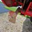 massey-ferguson-1163-image-49
